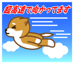 Taro Shiba Inu sticker #2725242
