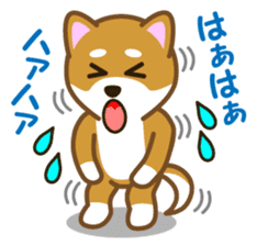 Taro Shiba Inu sticker #2725243