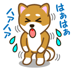 Taro Shiba Inu sticker #2725243