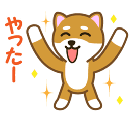 Taro Shiba Inu sticker #2725244