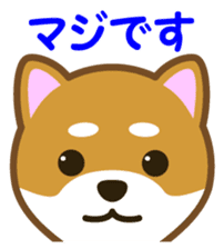 Taro Shiba Inu sticker #2725251
