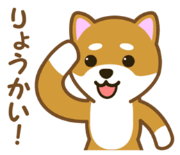 Taro Shiba Inu sticker #2725256