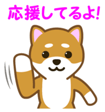 Taro Shiba Inu sticker #2725257