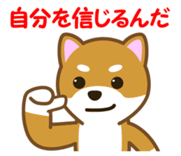 Taro Shiba Inu sticker #2725259