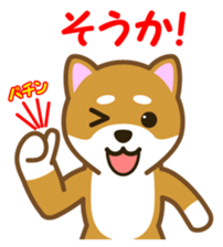 Taro Shiba Inu sticker #2725262