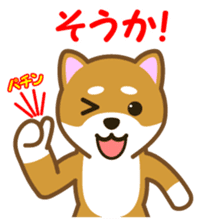 Taro Shiba Inu sticker #2725262