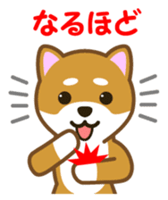 Taro Shiba Inu sticker #2725264