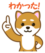 Taro Shiba Inu sticker #2725265