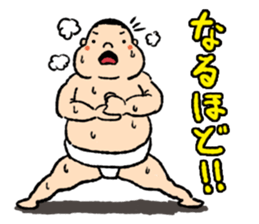 Novice RIKISHI-KUN sticker #2728315