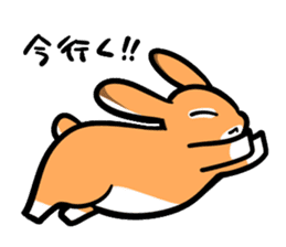 Yurudaru Lop Rabbit sticker #2729123