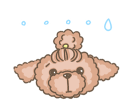 Poodle&yorkie. sticker #2729469