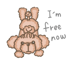 Poodle&yorkie. sticker #2729471