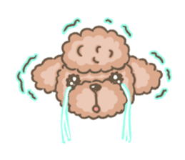 Poodle&yorkie. sticker #2729474