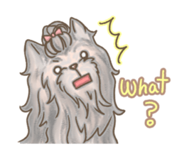 Poodle&yorkie. sticker #2729482