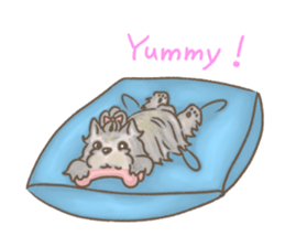 Poodle&yorkie. sticker #2729483