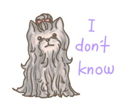 Poodle&yorkie. sticker #2729485