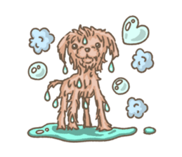 Poodle&yorkie. sticker #2729493