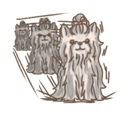 Poodle&yorkie. sticker #2729496