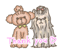 Poodle&yorkie. sticker #2729498
