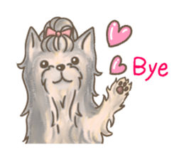 Poodle&yorkie. sticker #2729499