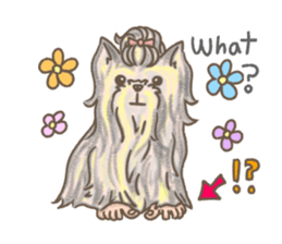 Poodle&yorkie. sticker #2729505