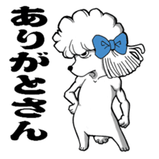 Mr. Jimmie of a strong toy poodle sticker #2731267