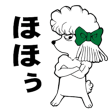 Mr. Jimmie of a strong toy poodle sticker #2731273