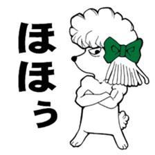 Mr. Jimmie of a strong toy poodle sticker #2731273