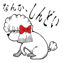 Mr. Jimmie of a strong toy poodle sticker #2731275