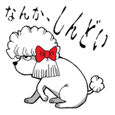 Mr. Jimmie of a strong toy poodle sticker #2731275