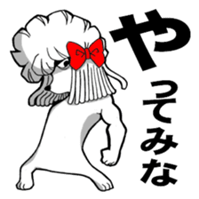 Mr. Jimmie of a strong toy poodle sticker #2731284
