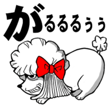 Mr. Jimmie of a strong toy poodle sticker #2731297