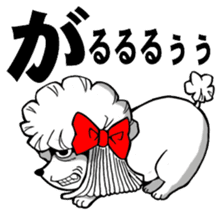 Mr. Jimmie of a strong toy poodle sticker #2731297