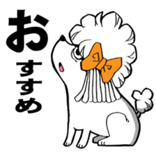 Mr. Jimmie of a strong toy poodle sticker #2731299