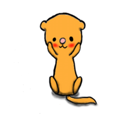 FERRET STICKER sticker #2732622