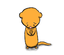 FERRET STICKER sticker #2732625