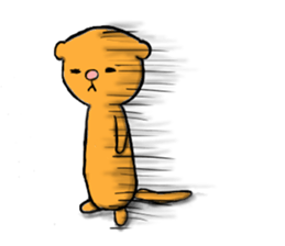 FERRET STICKER sticker #2732630