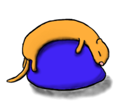 FERRET STICKER sticker #2732650