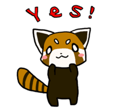 Daily of red pandas. sticker #2732732