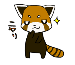 Daily of red pandas. sticker #2732734