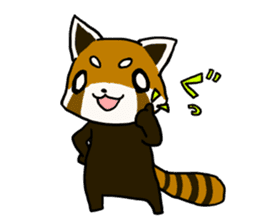Daily of red pandas. sticker #2732735