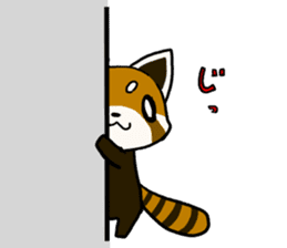 Daily of red pandas. sticker #2732740
