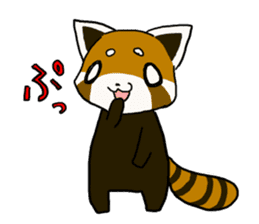 Daily of red pandas. sticker #2732741