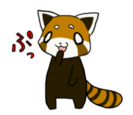 Daily of red pandas. sticker #2732741