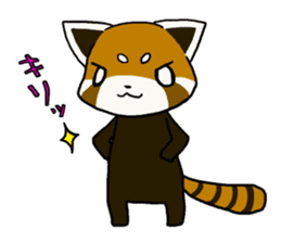 Daily of red pandas. sticker #2732742