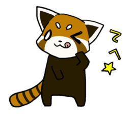 Daily of red pandas. sticker #2732743