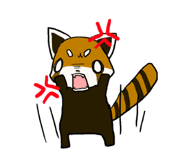Daily of red pandas. sticker #2732748