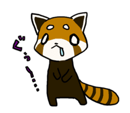 Daily of red pandas. sticker #2732754