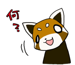 Daily of red pandas. sticker #2732755