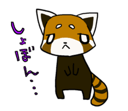 Daily of red pandas. sticker #2732758